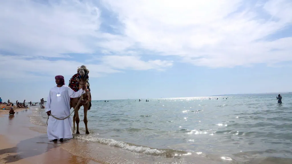 الفندق بيراميزا بيتش ريزورت - سهل حشيش